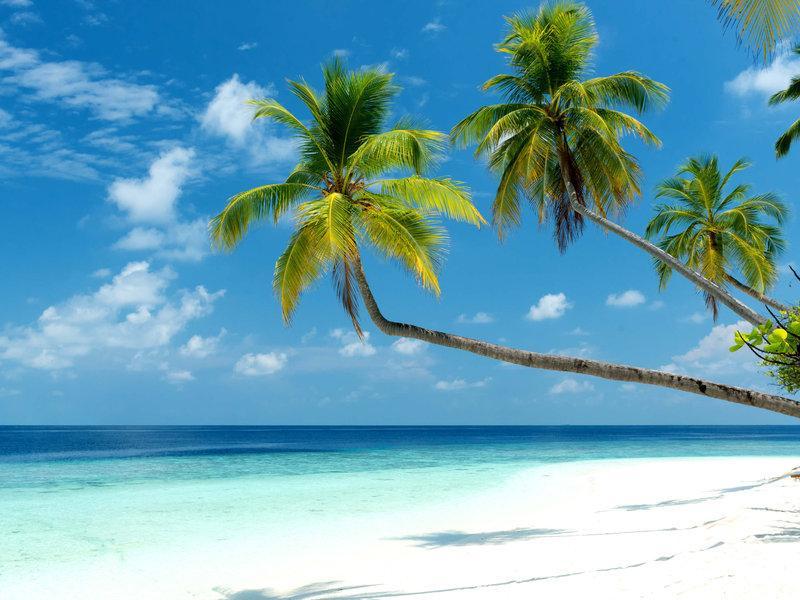 Mercure Maldives Kooddoo - Adults - Only Escape - 50 Percent Off Transfers Viligili Esterno foto